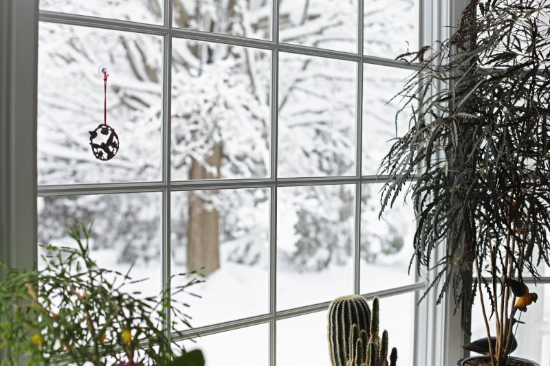 How Can I Lower My Heating Bill This Winter? Photo of a window looking out into a winter scene.