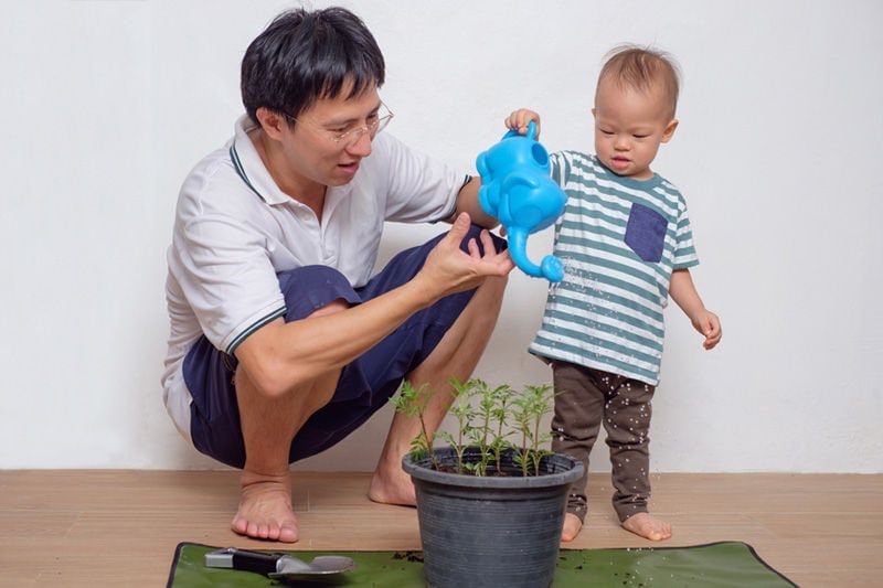 Father and Son Watering Plant